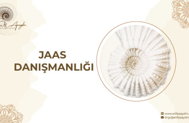 JEAN ADRİENNE ARINMA SİSTEMİ (JAAS) BİREYSEL DANIŞMANLIK